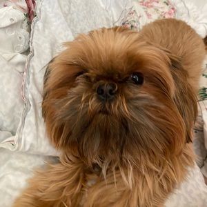 Meet your Posher, Jovan